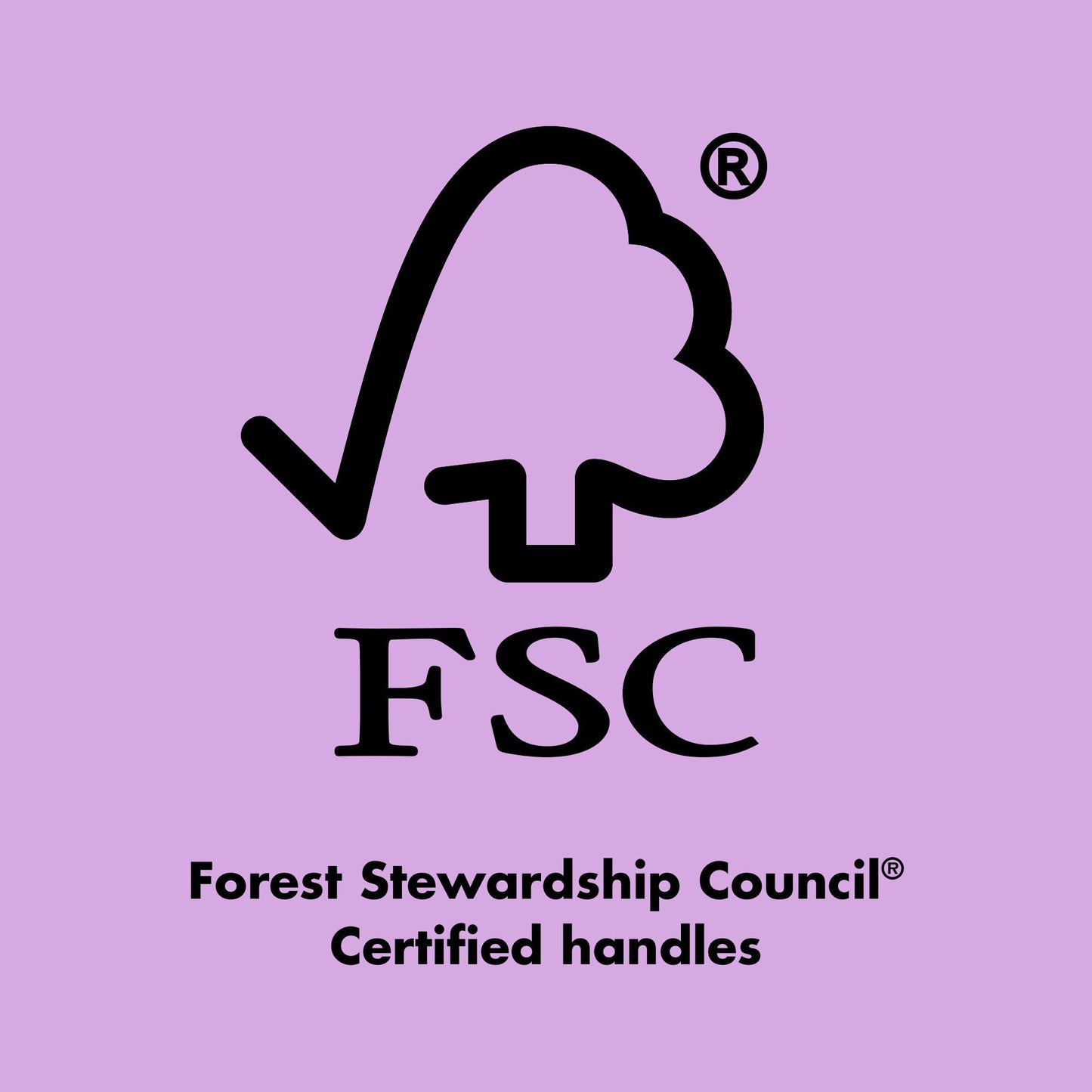 ten-out-of-ten-brush-kit-b1 0423_EDUCATION_FSC_EVERGREEN.jpg
