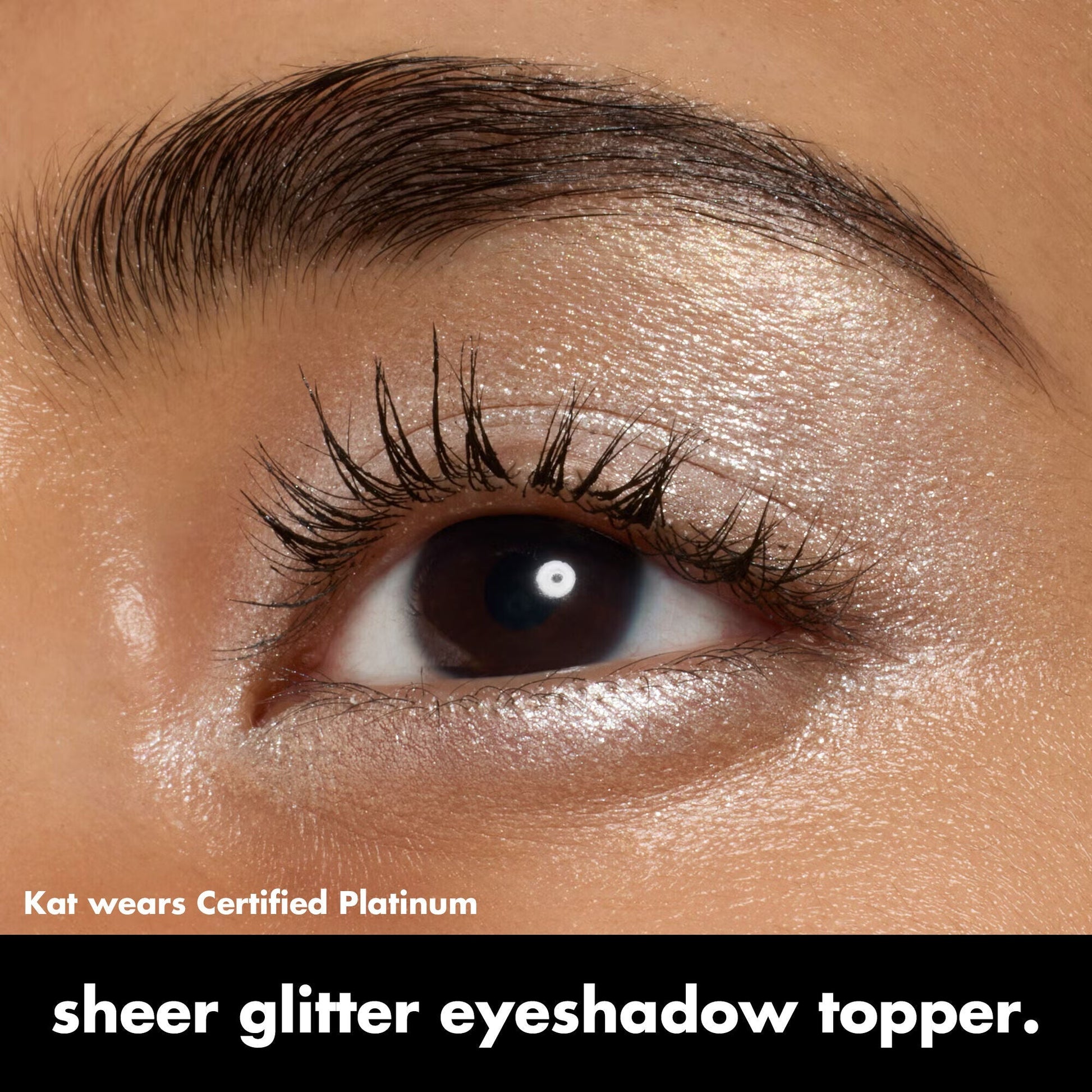 fine-as-fleck-glitter-eyeshadow-i4 0424_EDUCATION_FINEASFLECK_EYESHADOW_OnModel_certifiedplatinum_Kat.jpg