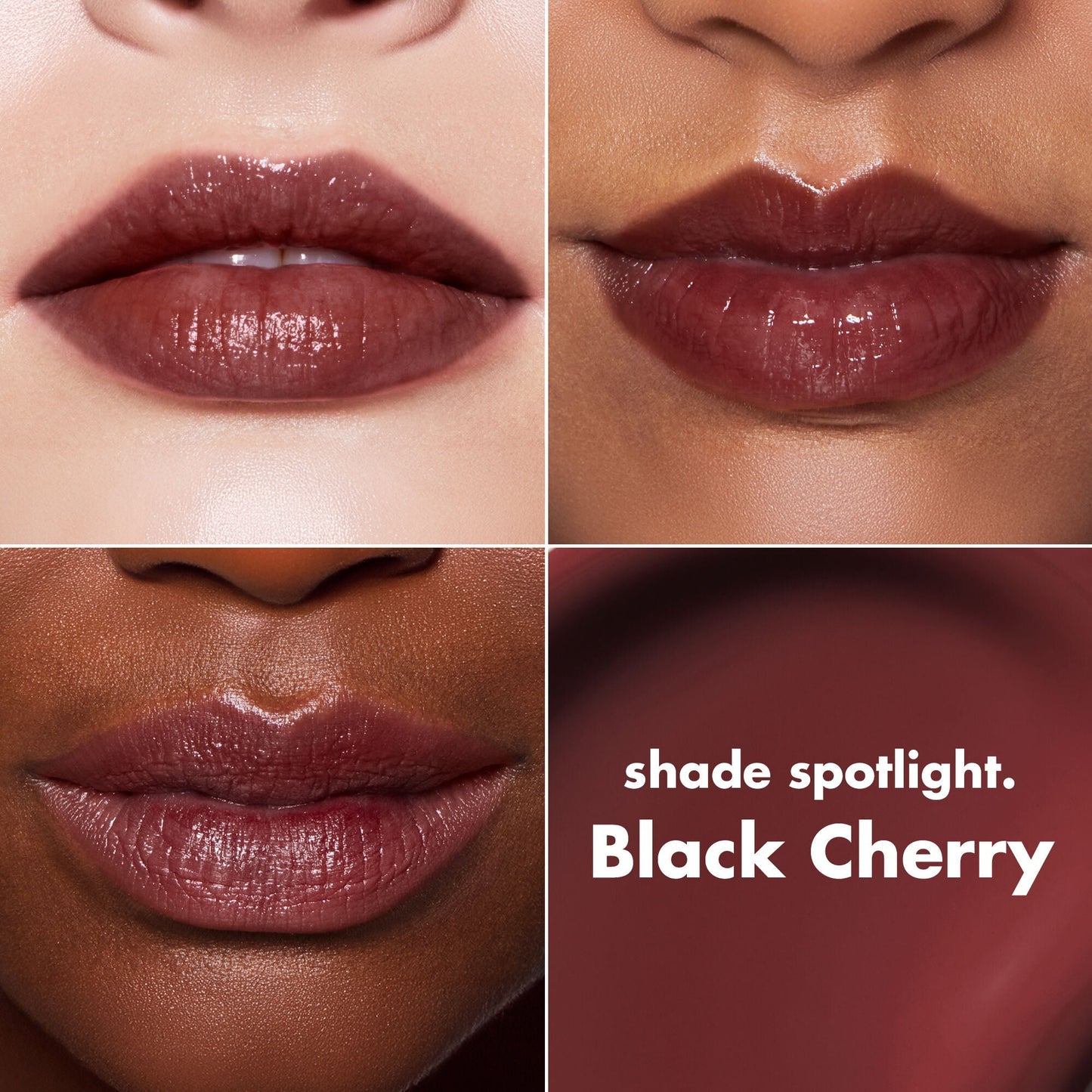 lip-lacquer-a2 0426_EDU_LipLaquer_ShadeChart_BlackCherry.jpg