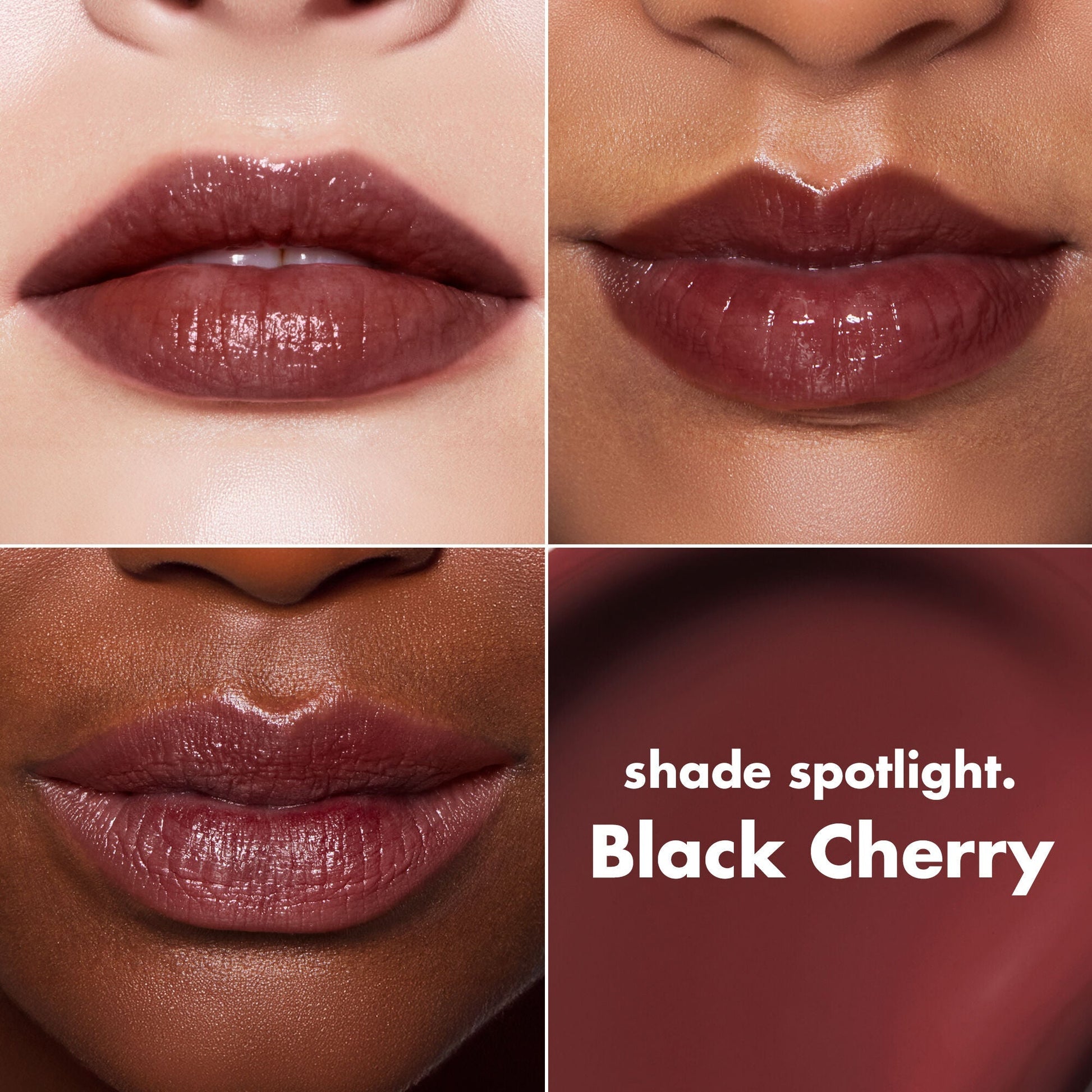lip-lacquer-a2 0426_EDU_LipLaquer_ShadeChart_BlackCherry.jpg