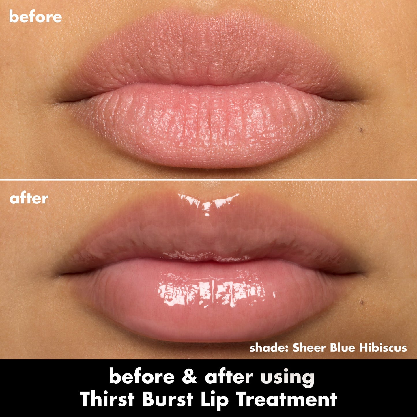 thirst-burst-lip-treatment-v8 0526_SEO_ThirstBurstLipTreatment_BA_SheerBlueHibiscus.jpg