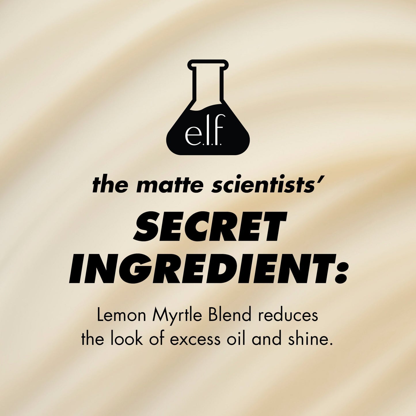 power-grip-matte-primer-g3 1224_EDUCATION_PGMATTE_INGREDIENT_b9de063f-aeb5-403f-9709-c3cafbf9c9d1.jpg