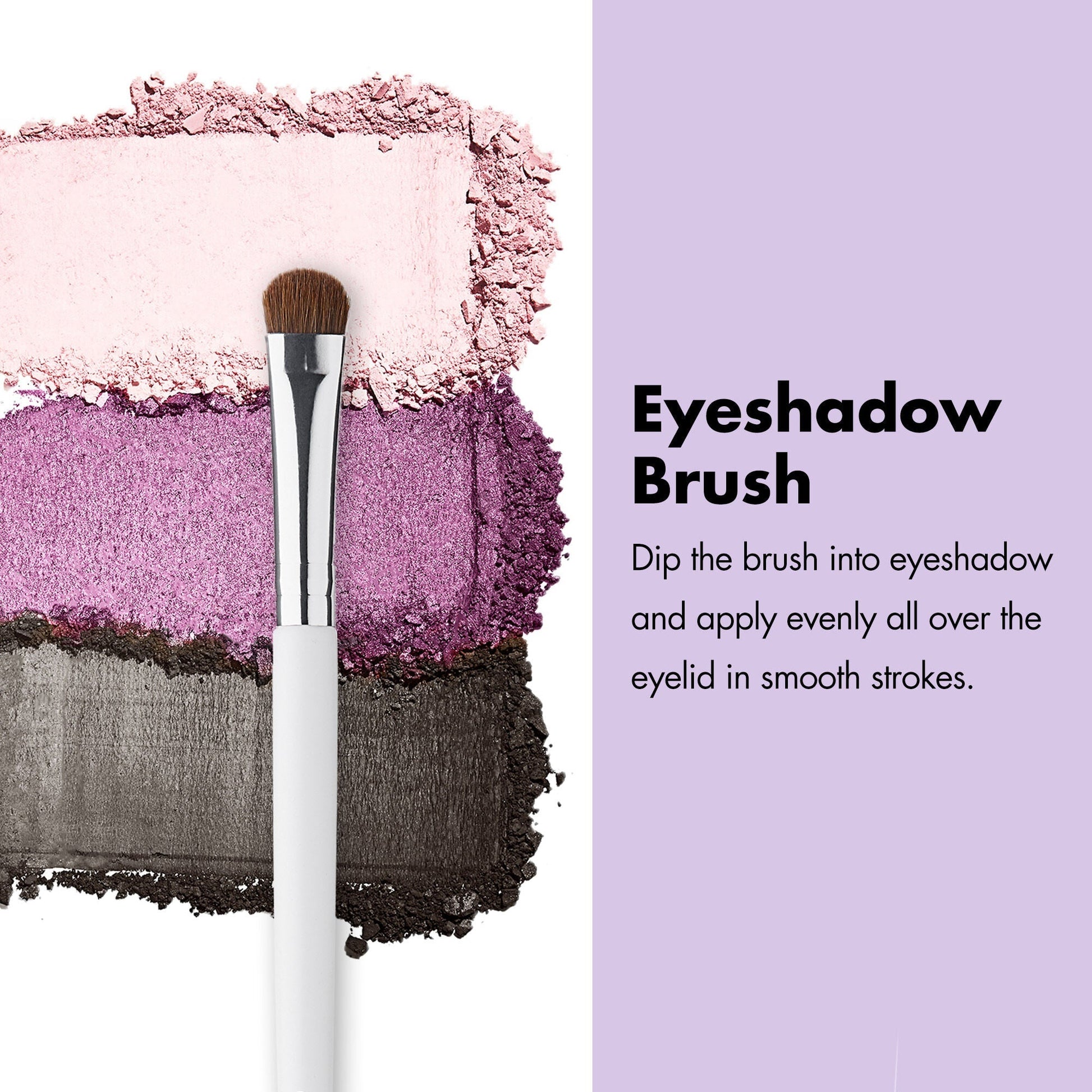 professional-set-of-12-makeup-brushes-t3 ProfessionalBrushes_Eye_EyeshadowBrush_PDP_Edu_2000x2000_2418e3b8-bb65-4e6d-af53-e6d0aab002ae.jpg